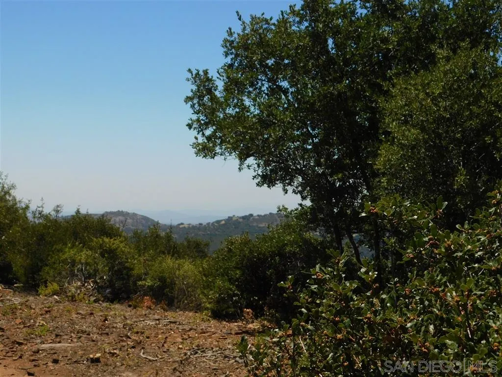 5593 Acorn Patch Road, Unit 14 Julian, CA 92036 - Photo 3 of 12 Gallery Image 3