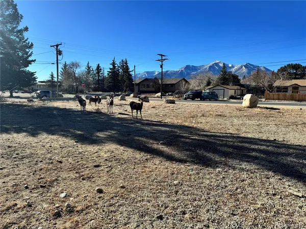 $220,000 | 513 Gold Street, Buena Vista, CO 81211