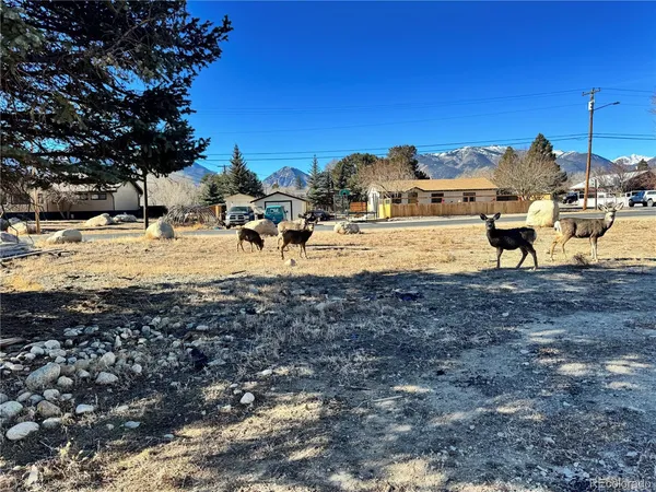 $220,000 | 513 Gold Street, Buena Vista, CO 81211
