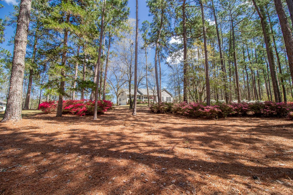 885 Bent Tree Road New Ellenton, SC 29809 - Photo 41 of 42 Gallery Image 41