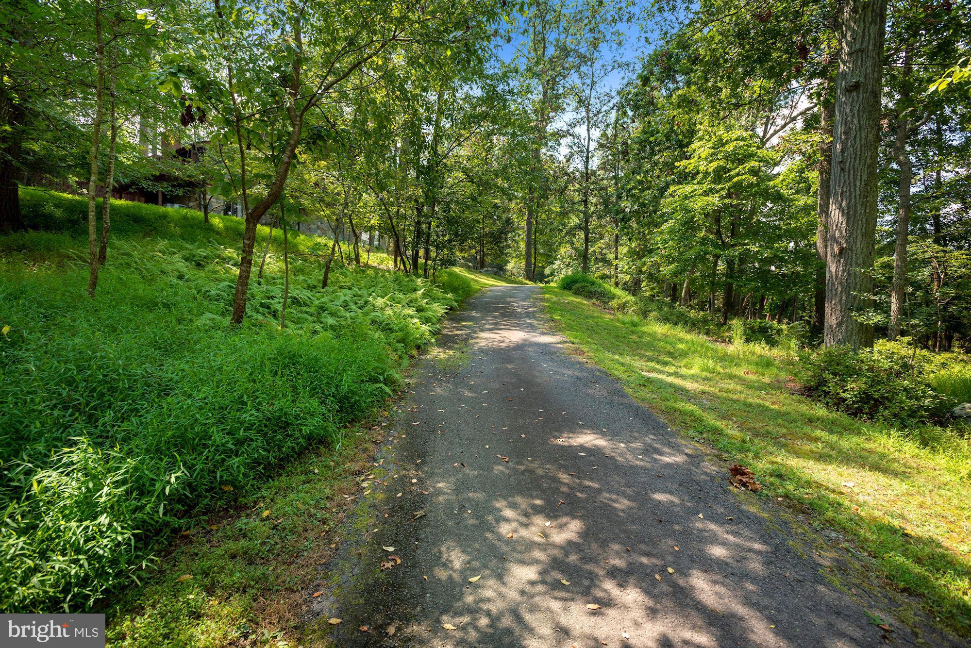 1051 Bellview Road McLean, VA 22102 - Photo 12 of 13