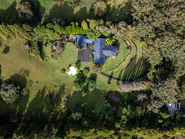 a view of banana tree