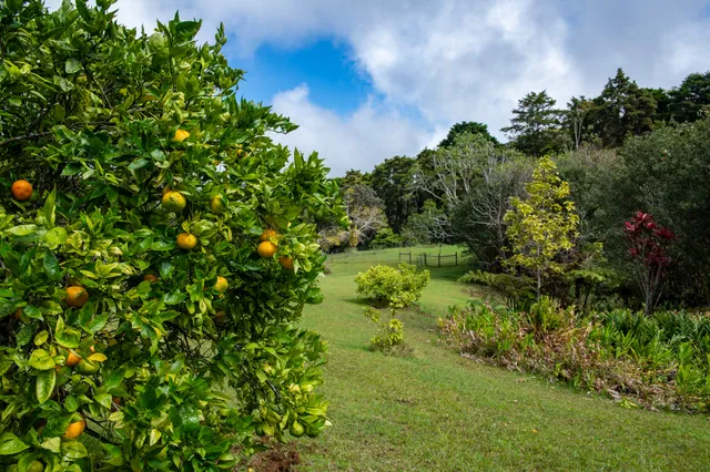 $2,300,000 | 45-3503 Kahana Drive, Honokaa, HI 96727