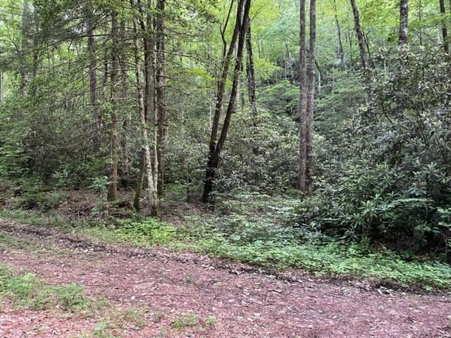 0 Chestnut Street Andrews, NC 28901 - Photo 9 of 12