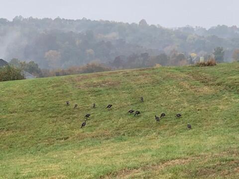 309 Rivers Edge Richmond, KY 40475 - Photo 40 of 41 IMG_4597