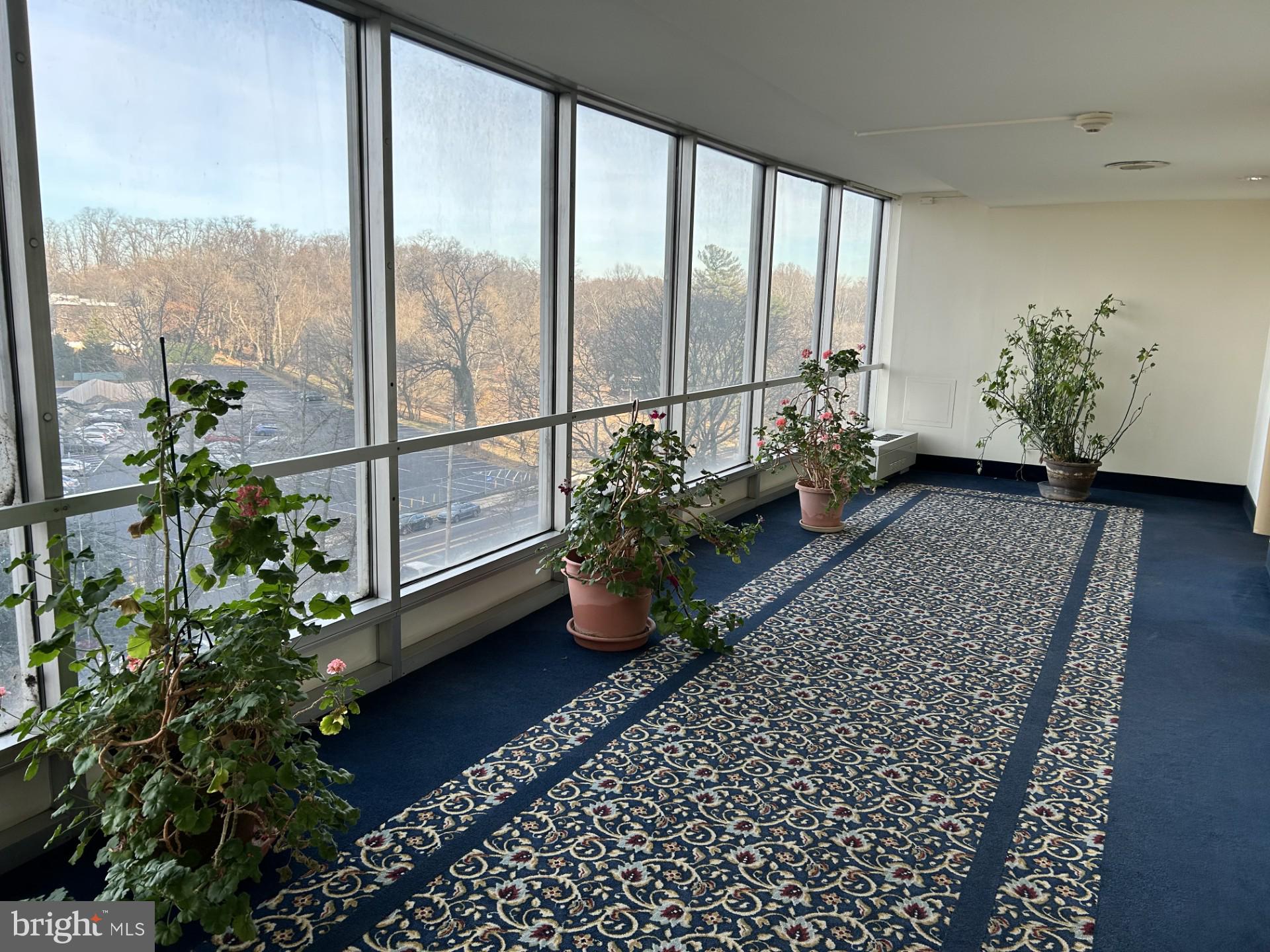 3900 West Ford Road, Unit 6B Philadelphia, PA 19131 - Photo 2 of 13 Elevator Landing