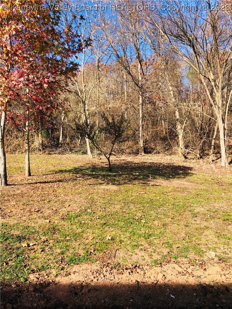 308 1st Avenue Ripley, WV 25271 - Photo 15 of 17 Gallery Image 15