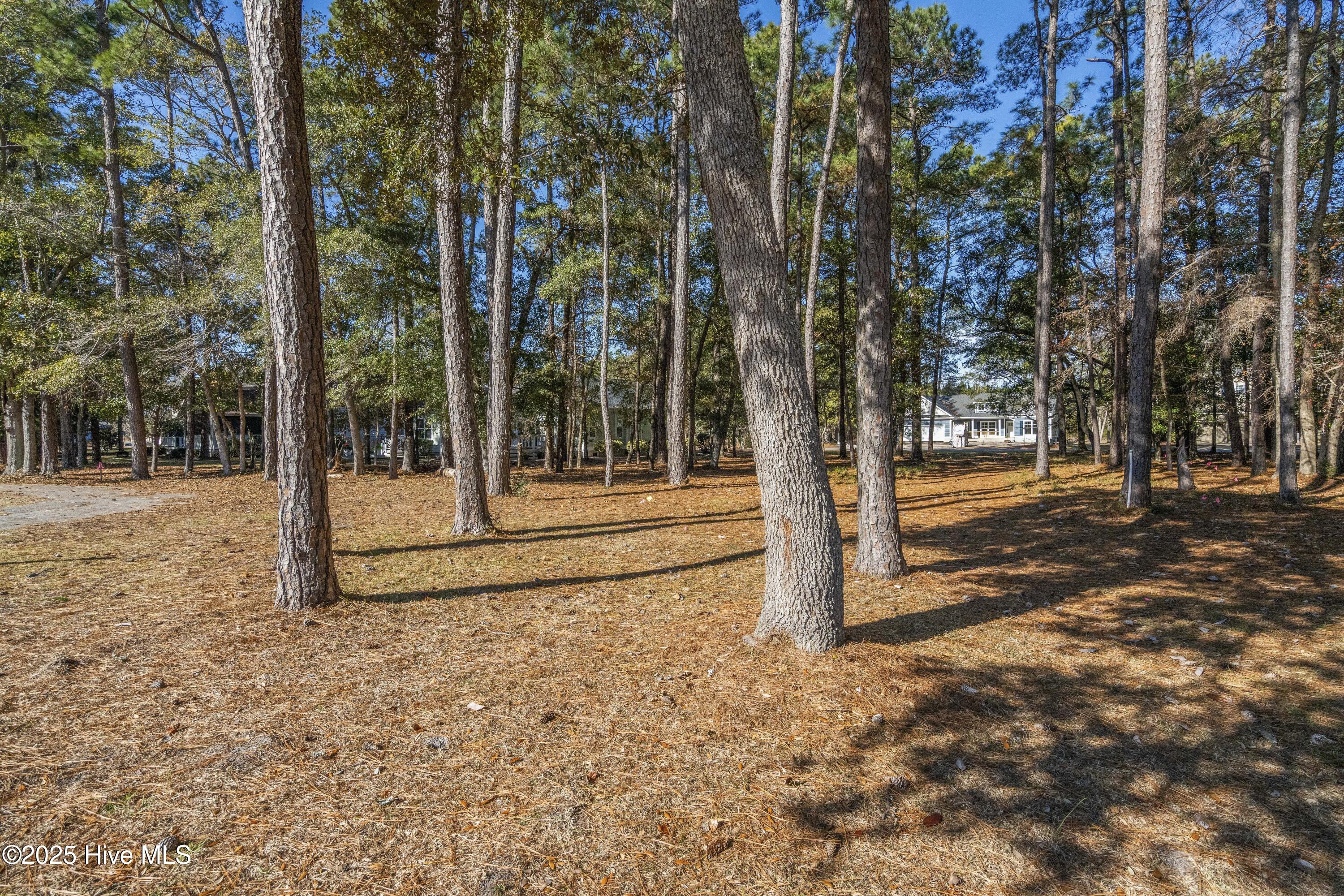 459 Genoe's Point Road Southwest Supply, NC 28462 - Photo 10 of 13 DSC01596