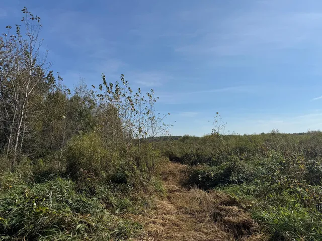 $139,900 | Tbd 460th Lane, Palisade, MN 56469