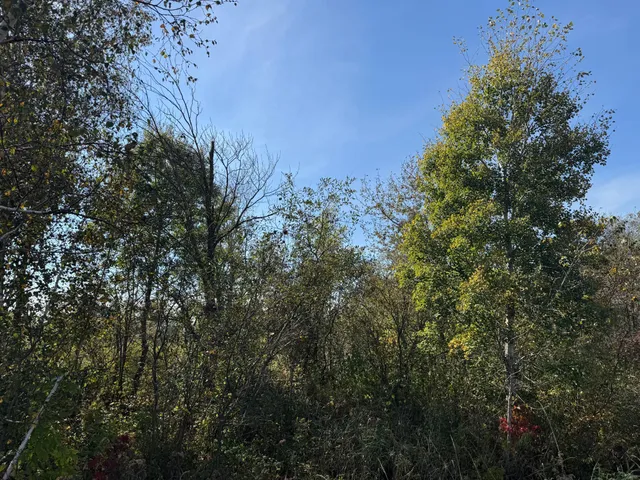 $139,900 | Tbd 460th Lane, Palisade, MN 56469