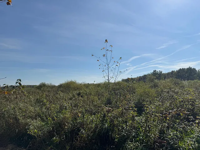 $139,900 | Tbd 460th Lane, Palisade, MN 56469