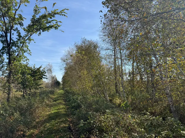 $139,900 | Tbd 460th Lane, Palisade, MN 56469