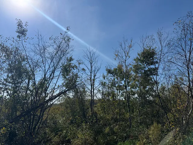 $139,900 | Tbd 460th Lane, Palisade, MN 56469