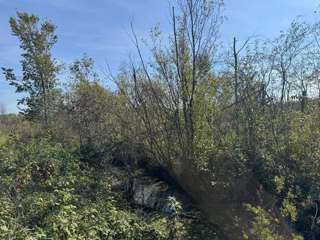 $139,900 | Tbd 460th Lane, Palisade, MN 56469