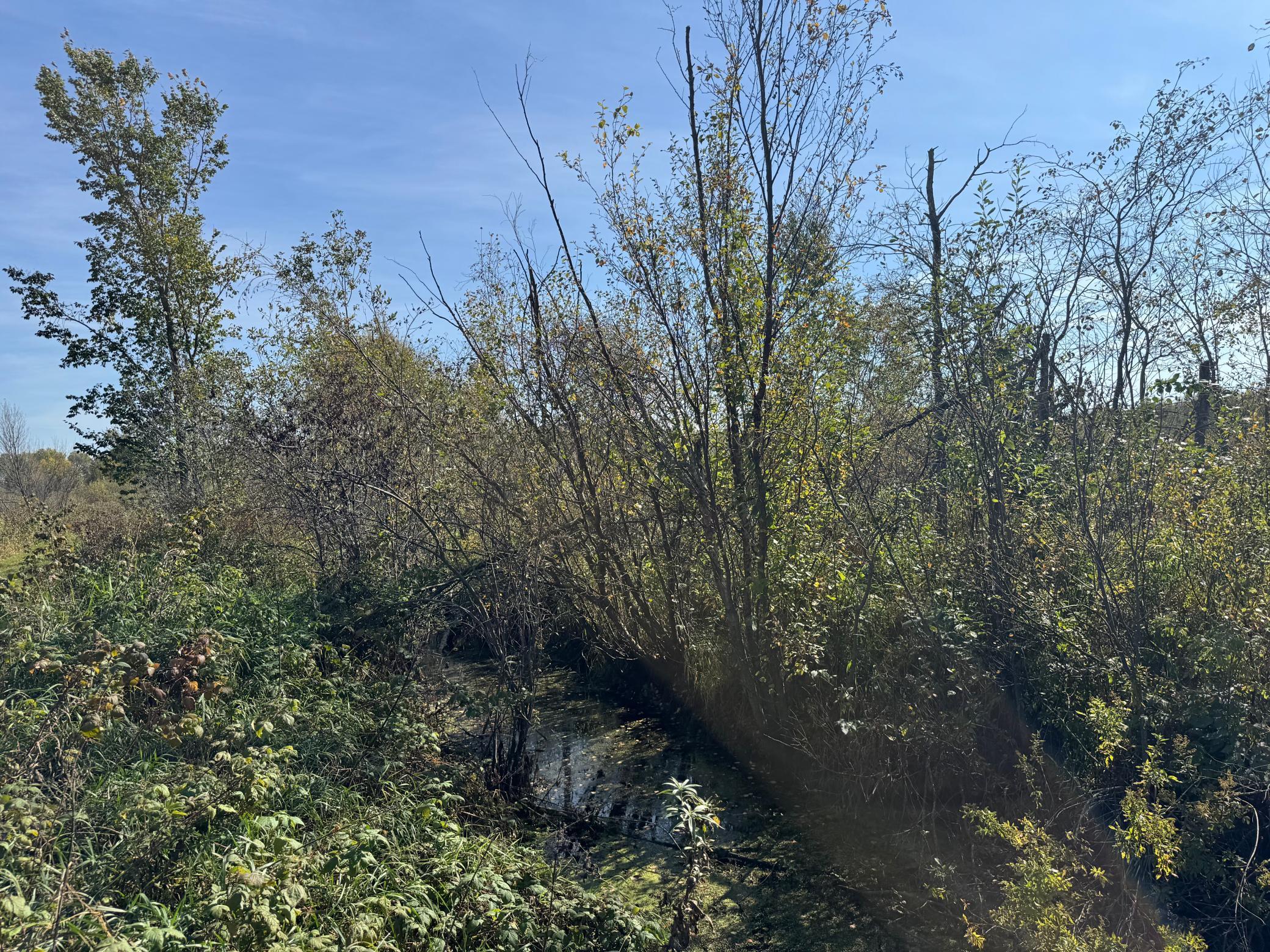 Tbd 460th Lane Palisade, MN 56469 - Photo 19 of 46