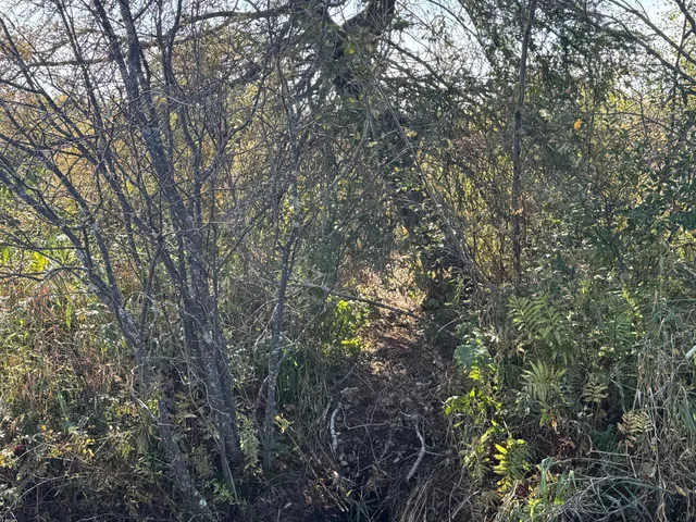 $139,900 | Tbd 460th Lane, Palisade, MN 56469