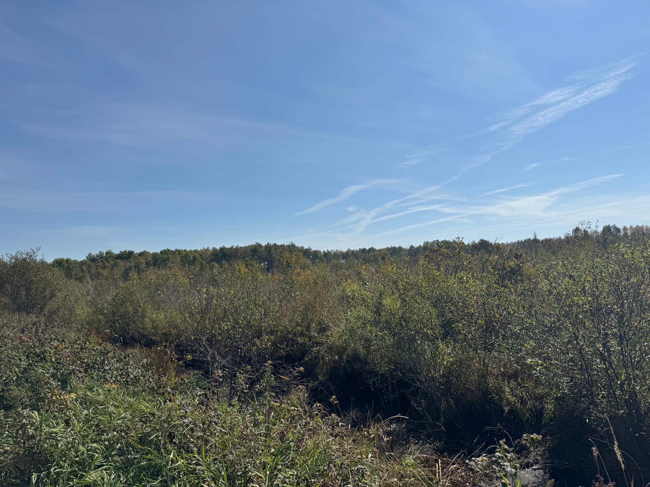 Tbd 460th Lane Palisade, MN 56469 - Photo 22 of 46