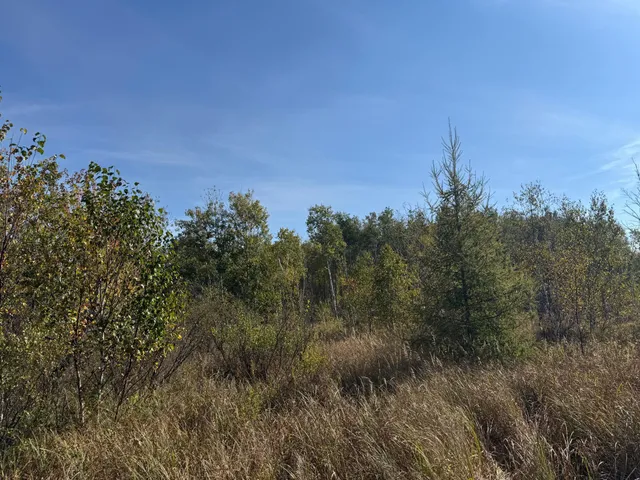 $139,900 | Tbd 460th Lane, Palisade, MN 56469