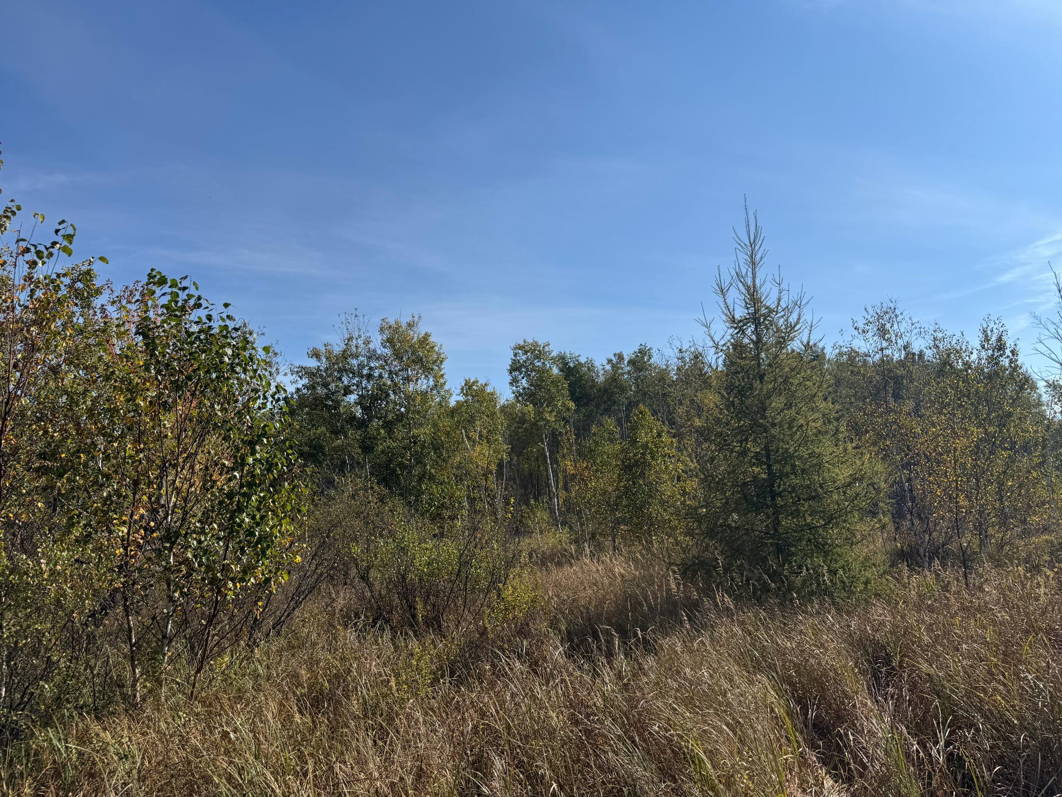 Tbd 460th Lane Palisade, MN 56469 - Photo 23 of 46