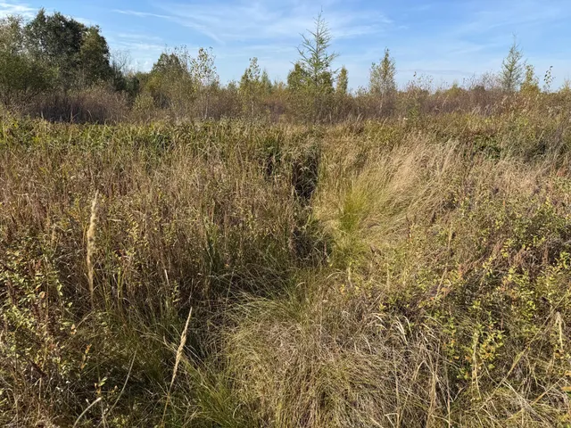 $139,900 | Tbd 460th Lane, Palisade, MN 56469