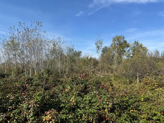 $139,900 | Tbd 460th Lane, Palisade, MN 56469