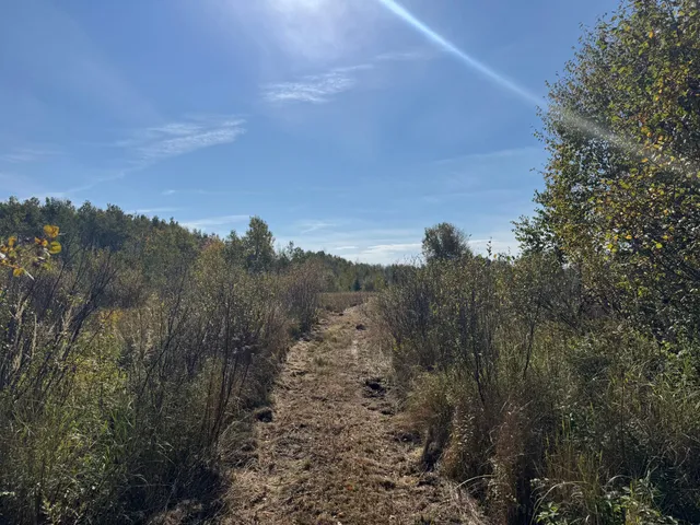 $139,900 | Tbd 460th Lane, Palisade, MN 56469