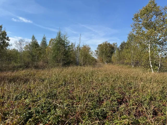 $139,900 | Tbd 460th Lane, Palisade, MN 56469