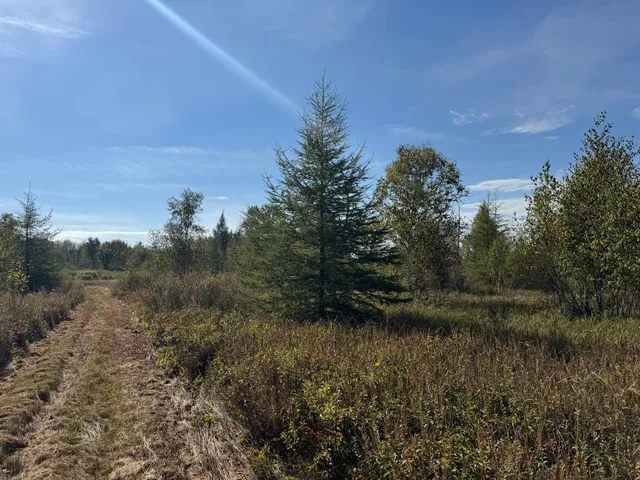 $139,900 | Tbd 460th Lane, Palisade, MN 56469