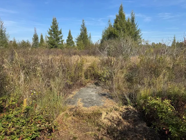 $139,900 | Tbd 460th Lane, Palisade, MN 56469