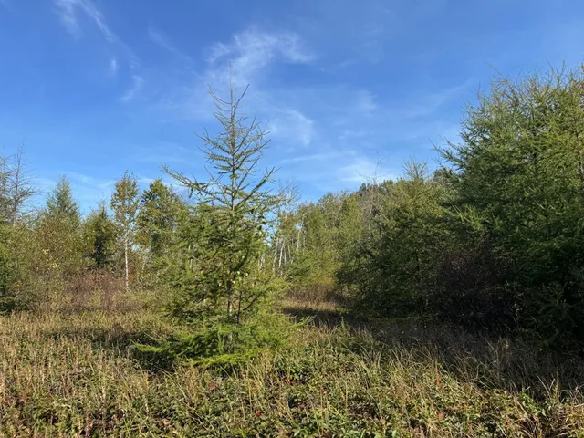 $139,900 | Tbd 460th Lane, Palisade, MN 56469