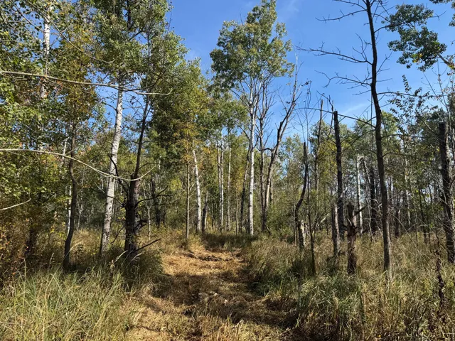 $139,900 | Tbd 460th Lane, Palisade, MN 56469