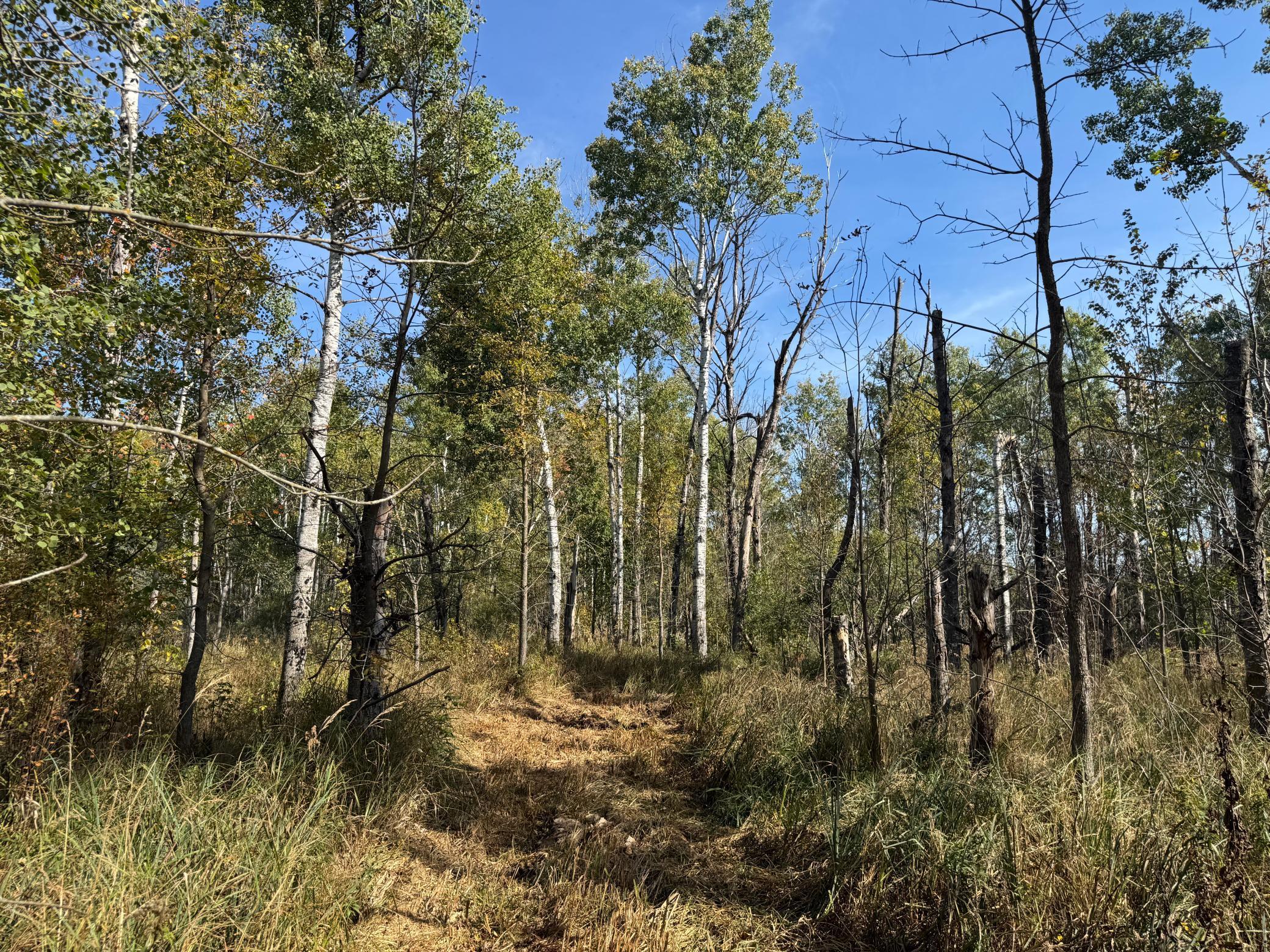 Tbd 460th Lane Palisade, MN 56469 - Photo 33 of 46