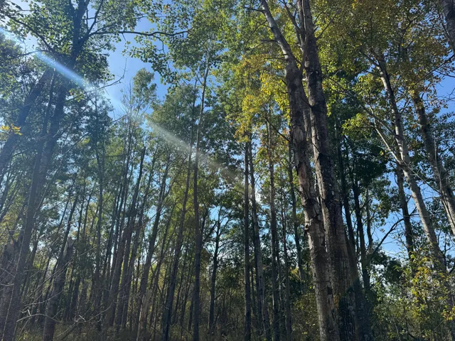 $139,900 | Tbd 460th Lane, Palisade, MN 56469