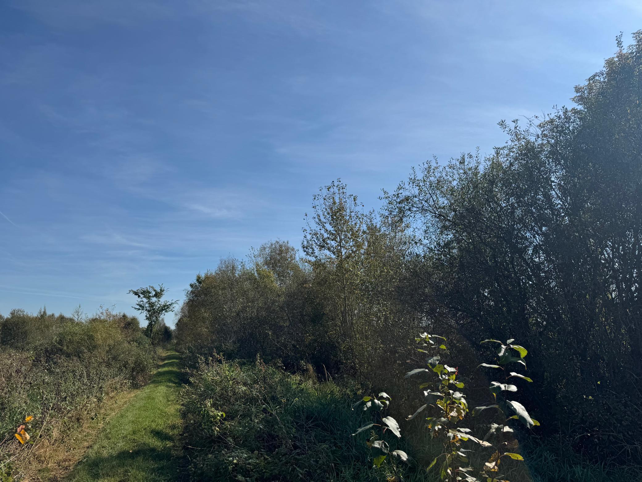 Tbd 460th Lane Palisade, MN 56469 - Photo 36 of 46