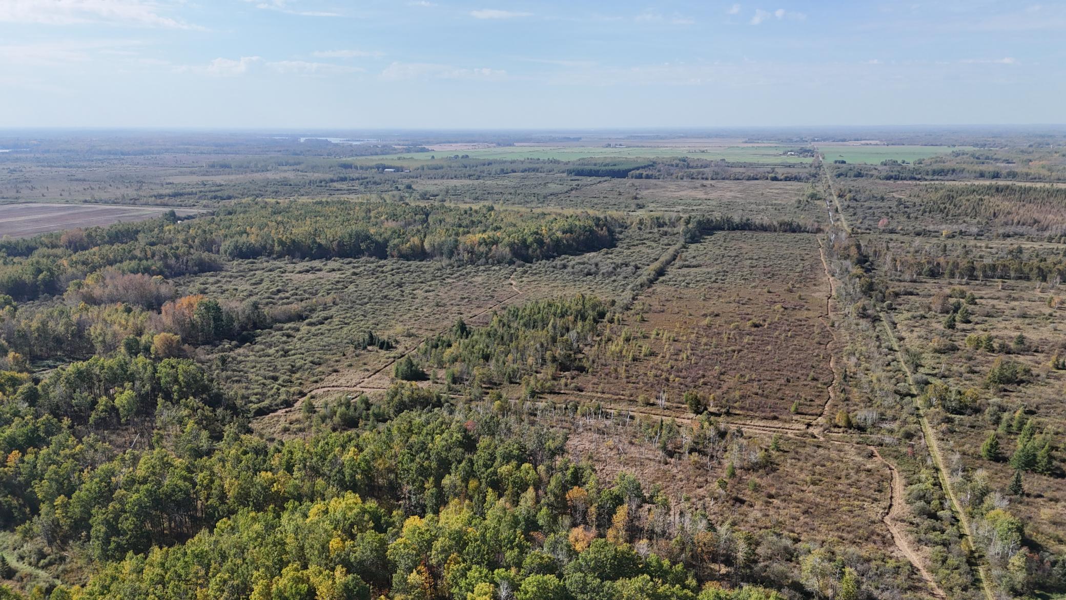 Tbd 460th Lane Palisade, MN 56469 - Photo 38 of 46