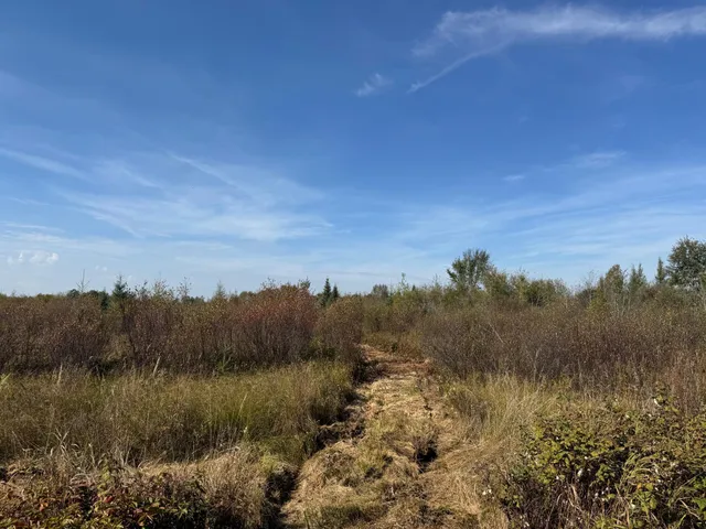 $139,900 | Tbd 460th Lane, Palisade, MN 56469