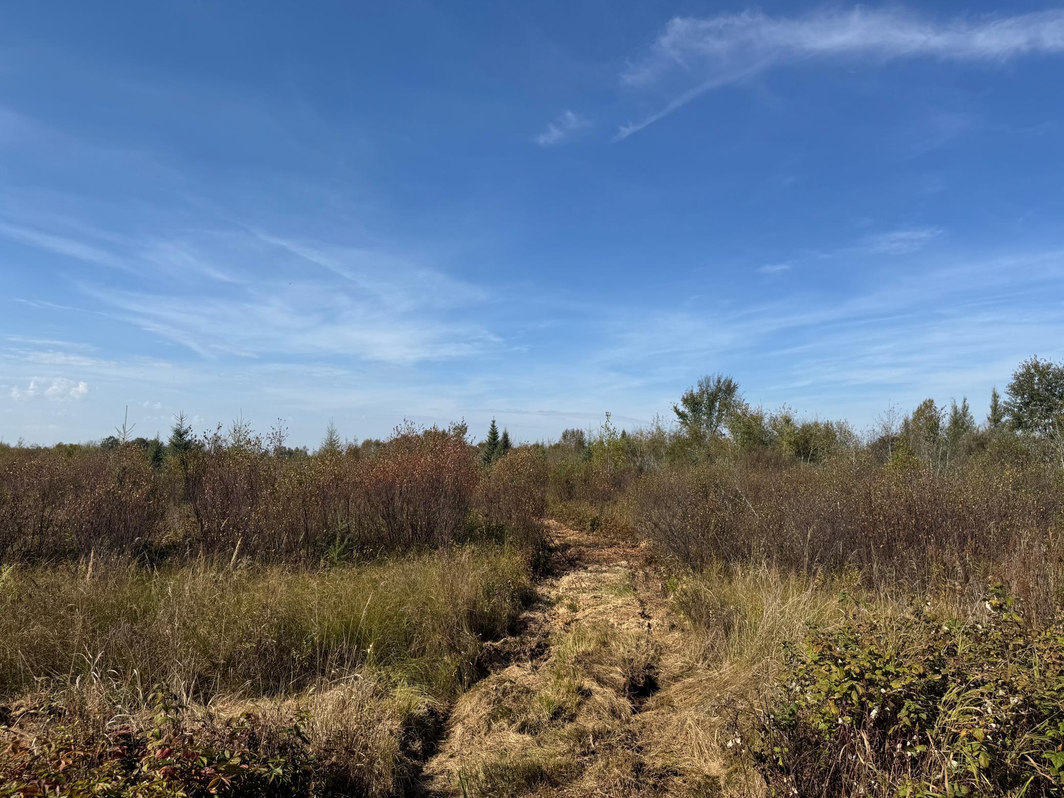Tbd 460th Lane Palisade, MN 56469 - Photo 4 of 46
