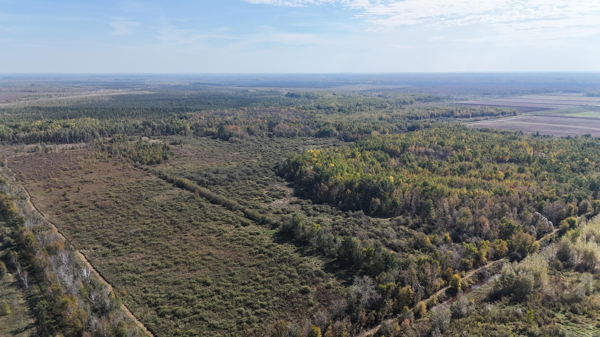 Tbd 460th Lane Palisade, MN 56469 - Photo 41 of 46