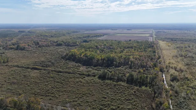 $139,900 | Tbd 460th Lane, Palisade, MN 56469