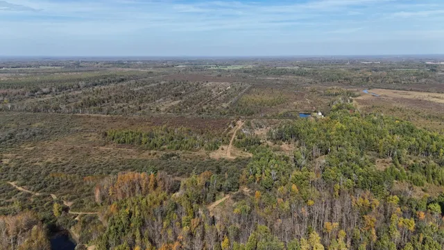 $139,900 | Tbd 460th Lane, Palisade, MN 56469