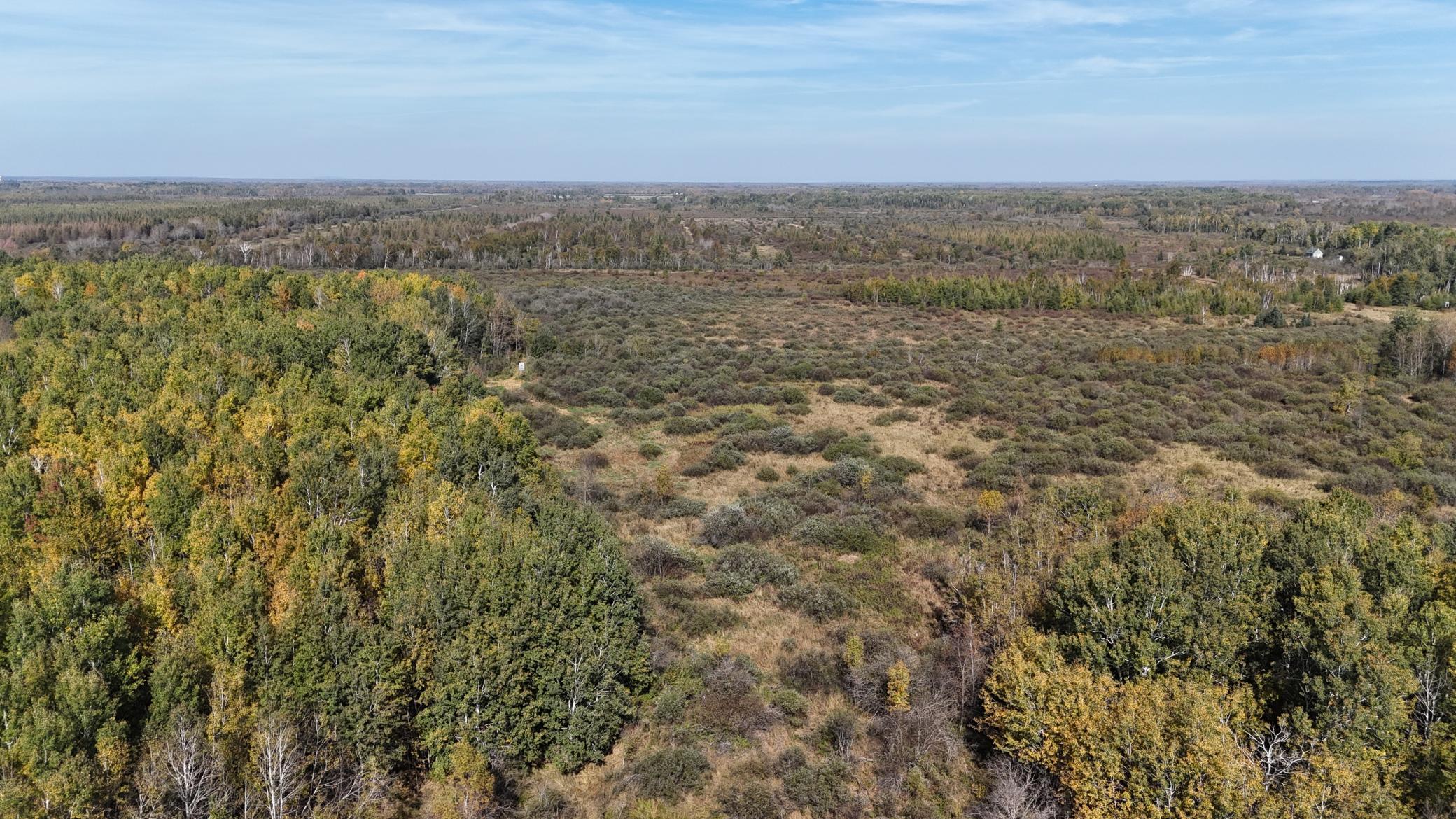 Tbd 460th Lane Palisade, MN 56469 - Photo 45 of 46