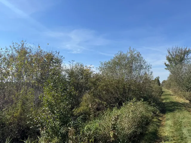 $139,900 | Tbd 460th Lane, Palisade, MN 56469