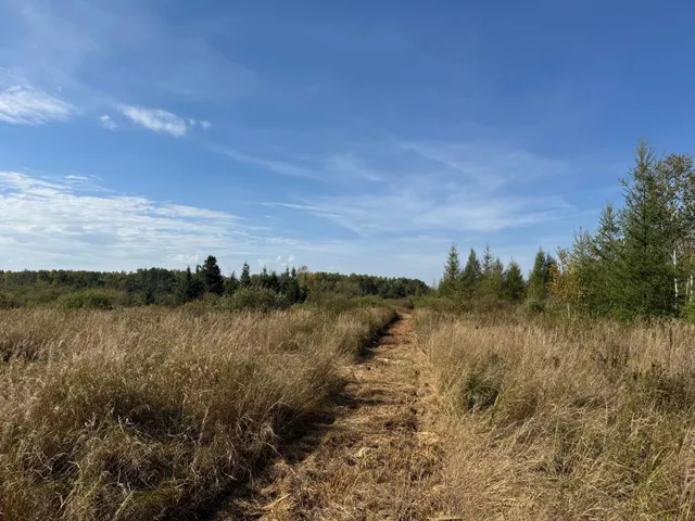 $139,900 | Tbd 460th Lane, Palisade, MN 56469