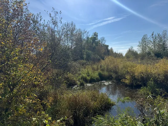 $139,900 | Tbd 460th Lane, Palisade, MN 56469