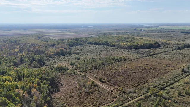 $139,900 | Tbd 460th Lane, Palisade, MN 56469