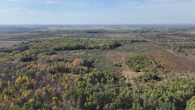 $139,900 | Tbd 460th Lane, Palisade, MN 56469