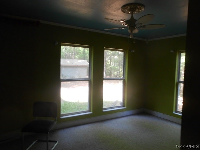 1264 Roaring Road Hartford, AL 36344 - Photo 27 of 31 Gallery Image 27