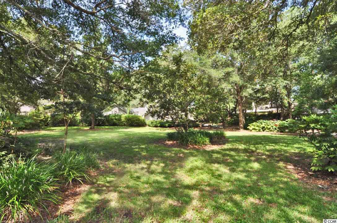767 Mt Gilead Road Murrells Inlet, SC 29576 - Photo 39 of 40 Gallery Image 39