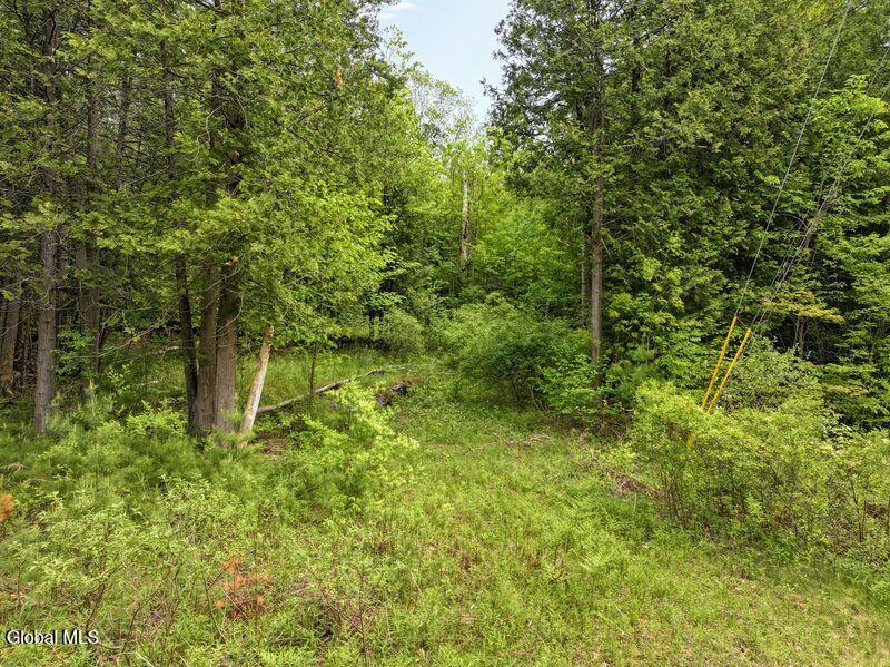 L2 Liddle Harris Road Putnam Station, NY 12861 - Photo 10 of 12 Interior