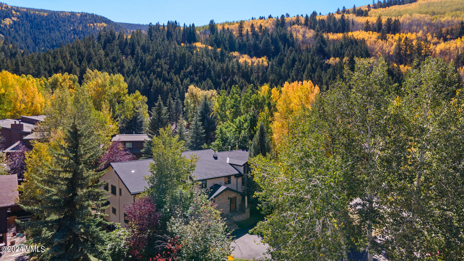 18 Beaver Road, Unit 1 Avon, CO 81620 - Photo 40 of 46 a view of swimming pool and tree s